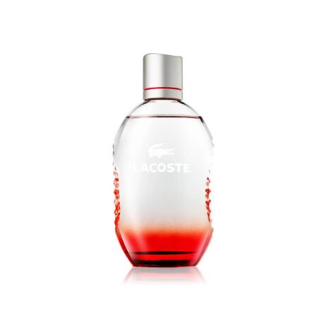 Untitled design - 2025-12-14T193639.916