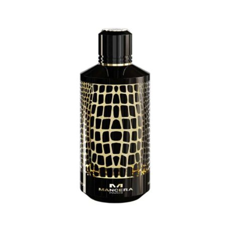 Untitled design - 2025-12-16T022146.899