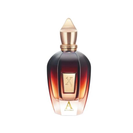 Untitled design - 2025-12-17T184544.712