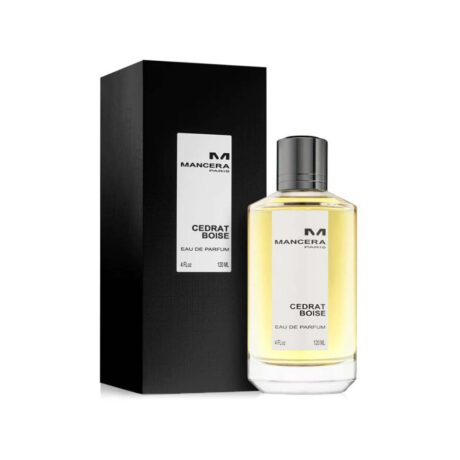 Untitled design - 2025-12-28T145052.624