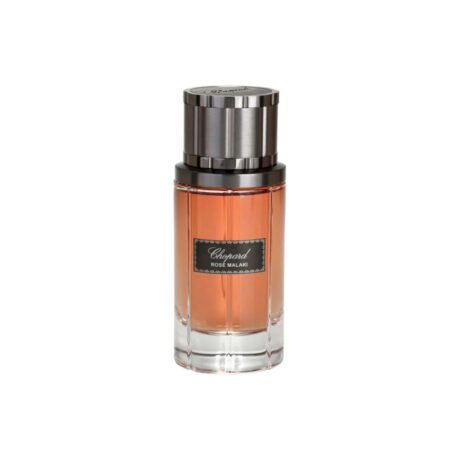 Untitled design - 2026-01-17T155219.643