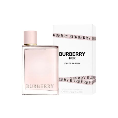 Untitled design - 2026-01-04T003247.118